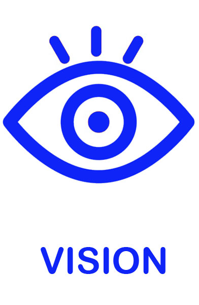 VisionIcono